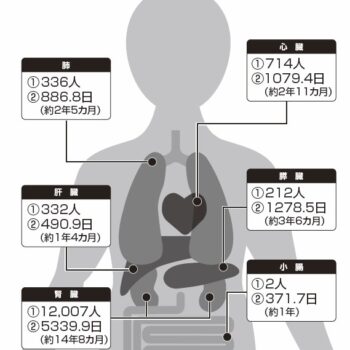 【10月は「臓器移植普及推進月間」】臓器提供○でも×でもまずは意思表示を