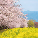 投稿についてもっと詳しく 『２号連続企画』私の就任１年目